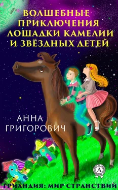 Анна Григорович Волшебные приключения лошадки Камелии и звёздных детей обложка книги