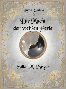 Silke M. Meyer Lux und Umbra 2 обложка книги