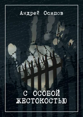 Андрей Осипов С особой жестокостью обложка книги