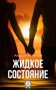 Андрей Никитин Жидкое состояние обложка книги