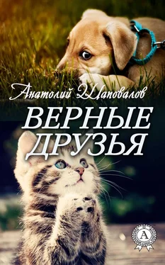 Анатолий Шаповалов Верные друзья обложка книги