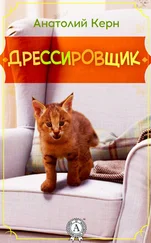 Анатолий Керн - ДРЕССИРОВЩИК