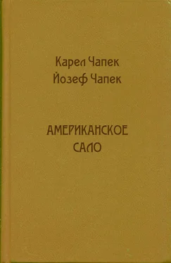 Карел Чапек Американское сало обложка книги