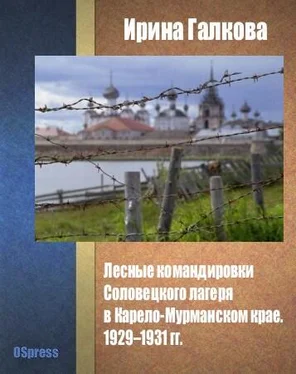 Ирина Галкова Лесные командировки Соловецкого лагеря в Карело-Мурманском крае. 1929–1931 гг. обложка книги