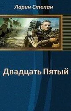 Степан Ларин 25-й обложка книги