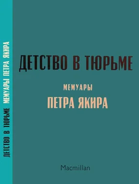 Пётр Якир Детство в тюрьме обложка книги