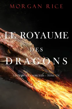 Morgan Rice Le Royaume des Dragons обложка книги