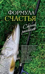 Коллектив авторов - Формула счастья. Сборник рассказов