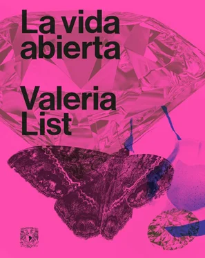 Valeria List La vida abierta обложка книги