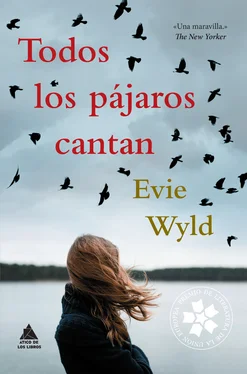 Evie Wyld Todos los pájaros cantan обложка книги