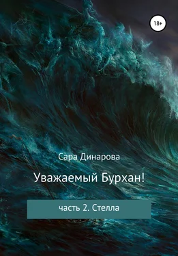 Сара Динарова Уважаемый Бурхан! Часть 2. Стелла обложка книги