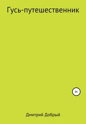 Дмитрий Ахимонов - Гусь-путешественник