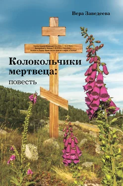 Вера Заведеева Колокольчики мертвеца обложка книги