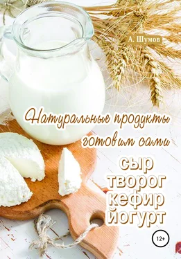 Александр Шумов Натуральные продукты. Готовим сами: сыр, творог, кефир, йогурт обложка книги
