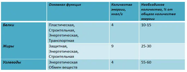 Витамины и минеральные вещества не поставляют организму энергию но - фото 4