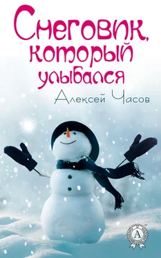 Алексей Часов Снеговик, который улыбался обложка книги