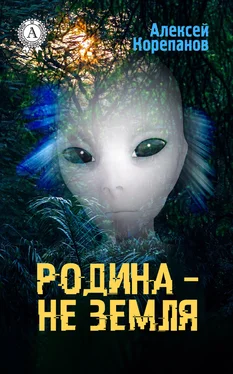 Алексей Корепанов Родина – не Земля обложка книги