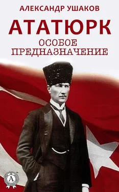 Александр Ушаков Ататюрк: особое предназначение обложка книги