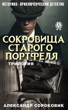 Александр Сороковик Сокровища старого портфеля обложка книги