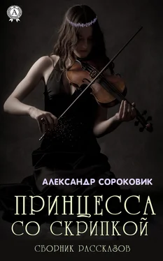 Александр Сороковик Принцесса со скрипкой обложка книги