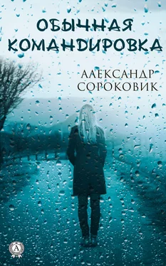 Александр Сороковик Обычная командировка обложка книги