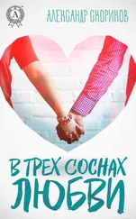 Александр Скориков - В трёх соснах любви