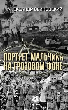 Александр Осиновский Портрет мальчика на грозовом фоне обложка книги