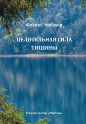 Феликс Эшбахер - Целительная сила тишины