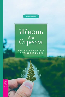 Марвин Маршалл Жизнь без стресса. Как наслаждаться путешествием обложка книги