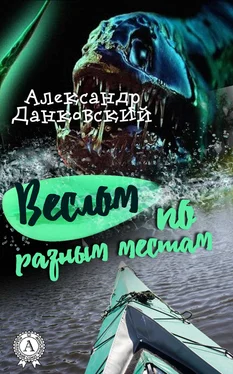 Александр Данковский Веслом по разным местам обложка книги