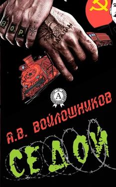 Александр Войлошников Седой обложка книги