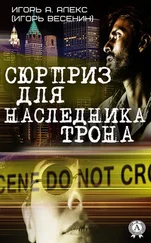 Алекс Игорь А. - Сюрприз для наследника трона