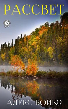 Алекс Бойко Рассвет обложка книги