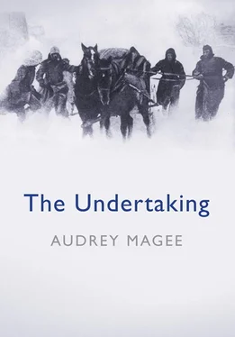 Audrey Magee The Undertaking обложка книги