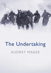 Audrey Magee - The Undertaking