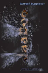 Дмитрий Ведерников - JaaDoo