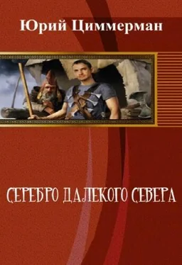 Юрий Циммерман Серебро далёкого Севера (СИ) обложка книги