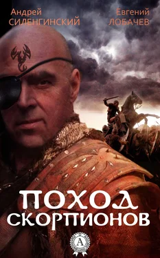 Андрей Силенгинский Поход скорпионов обложка книги