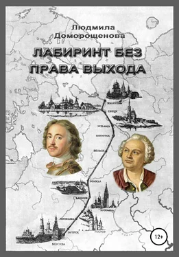 Людмила Доморощенова Лабиринт без права выхода. Книга 1. Загадки Ломоносова обложка книги