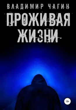 Владимир Чагин Проживая жизни обложка книги