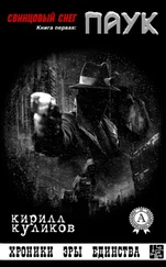 Кирилл Куликов - Свинцовый снег. Книга первая - Паук