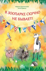 Марина Дороченкова - В зоопарке скучно не бывает!