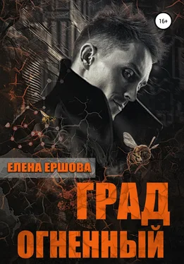 Елена Ершова Град огненный обложка книги