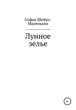 Софья Шейко-Маленьких Лунное зелье обложка книги