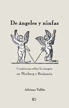 Adriana Valdés De ángeles y ninfas обложка книги