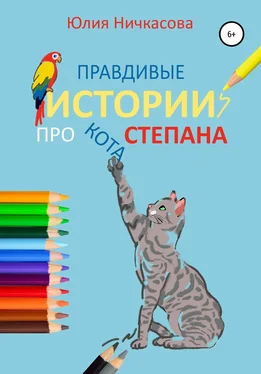 Юлия Ничкасова Правдивые истории про кота Степана обложка книги