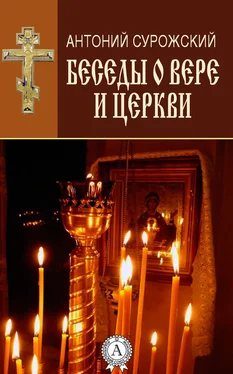 Антоний Сурожский Беседы о вере и Церкви обложка книги