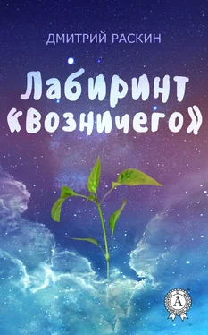 Дмитрий Раскин Лабиринт «Возничего» обложка книги