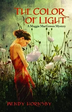 Wendy Hornsby The Color of Light обложка книги