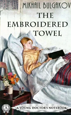 Mikhail Bulgakov The Embroidered Towel обложка книги